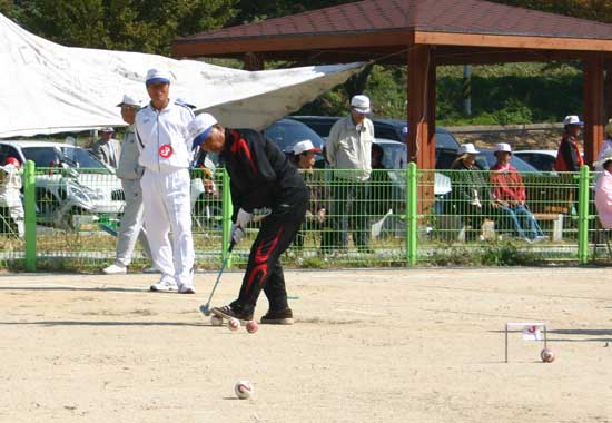 해남군수기 노인게이트볼대회에 28개팀이 참가한 가운데 지난 16일 열렸다.