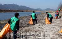 삼산면 새마을 지도자와 부녀회원들이 삼산천에 버려진 쓰레기를 줍고 있다.