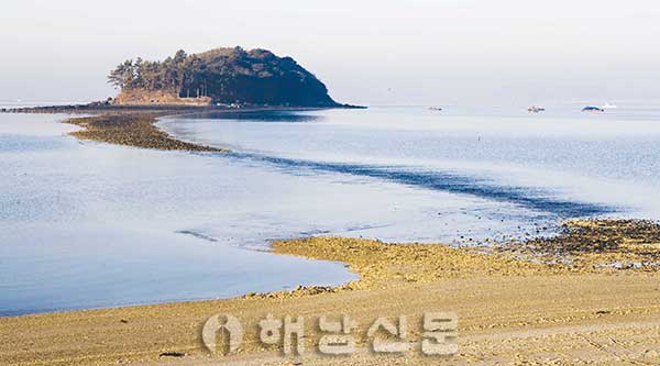10. 송림 속 오토캠핑장 갖춘 송호해수욕장