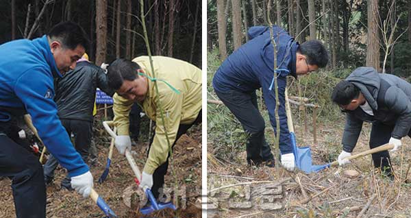 ▲ 나무심기 행사가 지난 22일 열려 대흥사 녹차밭 일원에 단풍나무 700주를 식재했다.