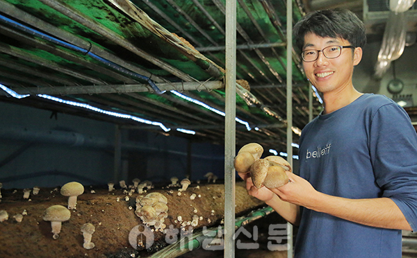 ▲ 청년농업인 정인환 씨가 올해 표고버섯 균상재배를 시작했다. 이와 함께 ICT를 설치해 더욱 안정적인 버섯 농사에 나설 예정이다.