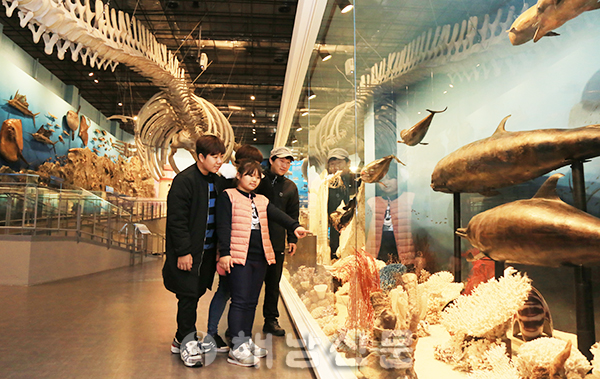 ▲ 신축 땅끝해양자연사박물관에 방문한 가족들이 박물관 내부를 둘러보고 있다.