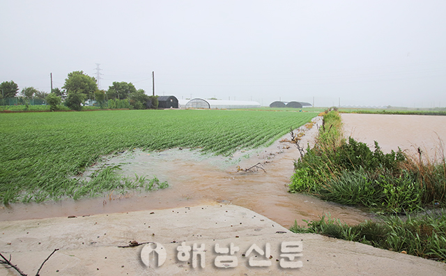 ▲ 태풍 '다나스'의 영향으로 내린 비에 일부 농경지가 침수되는 피해를 입었다.