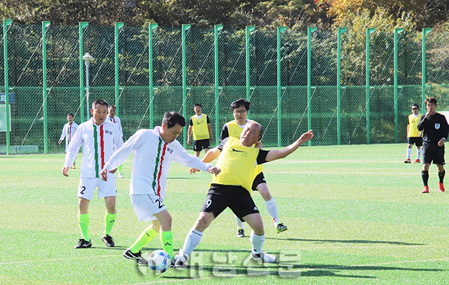 ▲ 중년 축구동호인들이 모여 화합하는 거북이축구대회가 지난 15일 열렸다.