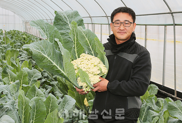 ▲ 박창민 씨가 지난달 말 수확한 플라워리니를 선보이고 있다.