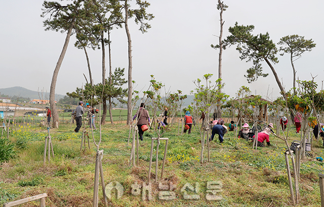 ▲ 마산 금자마을 주민들이 공동체사업 일환으로 소공원 정리작업을 하고 있다.