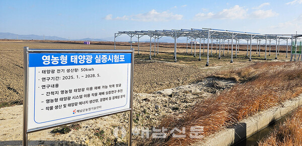 ▲해남군이 산이면 간척지에 조성한 영농형 태양광 실증시험단지.