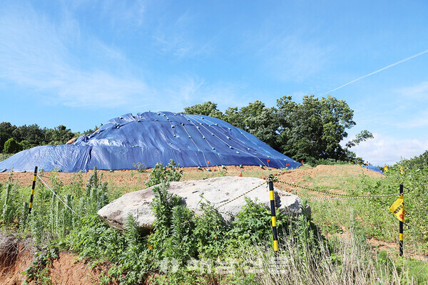 ▲고암마을 한 언덕에 고인돌이 놓여 있다.
