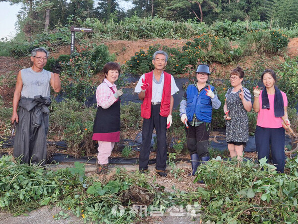 ▲최근 마을 주민들이 황토 산책길의 잡초를 제거했다.