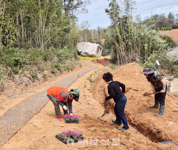 ▲올해 봄 맨발 황토길에 직접 꽃을 심었다.