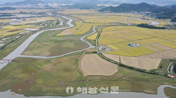 ▲역간척이 진행되고 있는 동천하구 농경지.(순천시 제공)