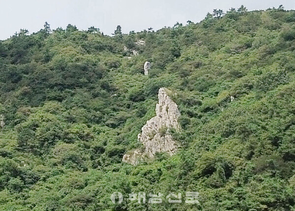 ▲마을 뒷산 중턱에 위치한 부처바위 모습.