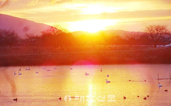 ▲역간척 이후 생태계가 살아난 하야사키나이코 내호의 모습.