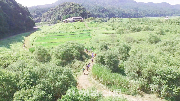 ▲아자메노세 습지 전경(2).