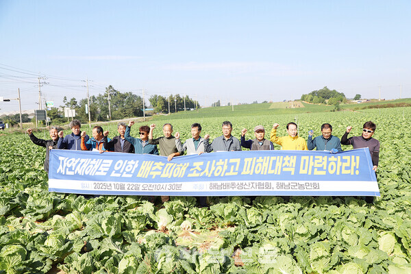 ▲지난 22일 산이면 금송리의 한 배추밭에서 배추 무름병 등에 대한 자연재해 인정을 촉구하는 기자회견이 열렸다.