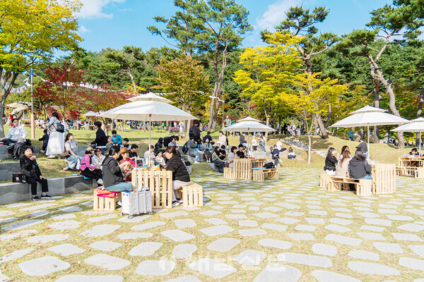▲공원 잔디밭에 조성된 피크닉존. 가족과 친구들이 돗자리를 펴고 김밥을 나누며 휴식을 즐기고 있다. 올해 축제의 핵심 콘셉트인 ‘소풍형 김밥축제’의 현장이다.