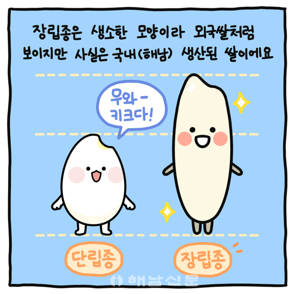 ▲해남 장립종 쌀 캐릭터를 활용한 4컷 만화 중 한 컷.