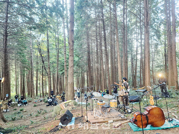 ▲지난 15일 삼산면 달보드레숲에서 재즈 기타리스트 이정규의 공연이 펼쳐졌다.(2)