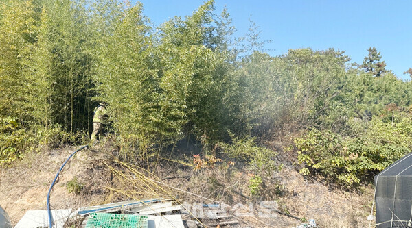 ▲지난 11일 황산면 관춘리의 한 야산에서 불이나 소방대원이 잔불을 정리하고 있다.