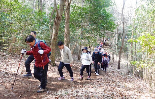 ▲관광객들이 달마고도 둘레길을 걷고 있다. 